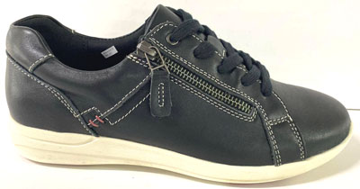 Scholl North